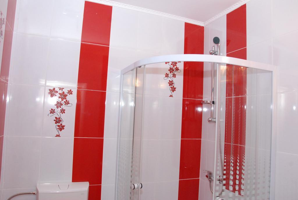 Vila Nicoleta Hotel Nagyszeben Kültér fotó